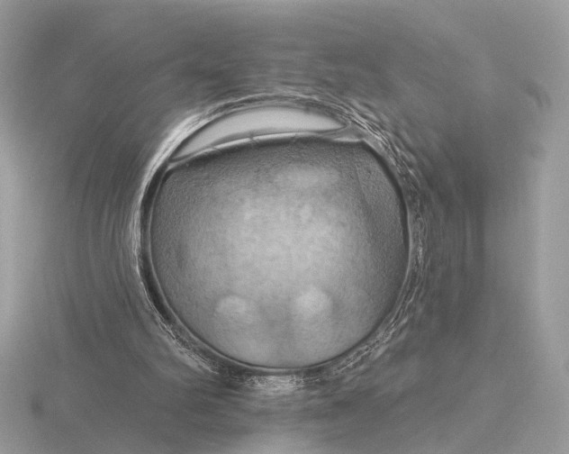 X0000116280102200912141357