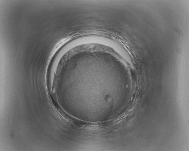 X0000116280104200912141357