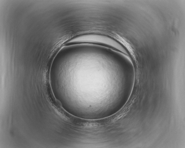 X0000116280105200912141357