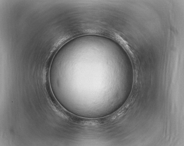 X0000116280106200912141357