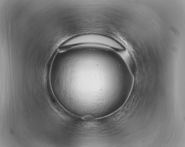 X0000116280107200912141357