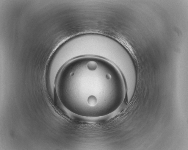 X0000116280108200912141357