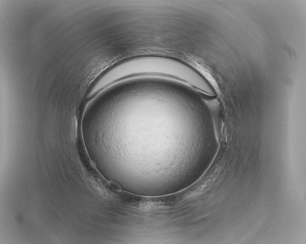 X0000116280109200912141357