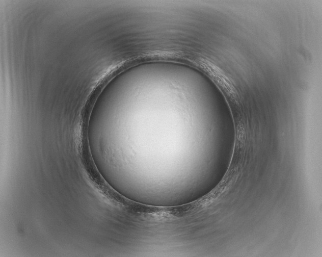 X0000116280112200912141357