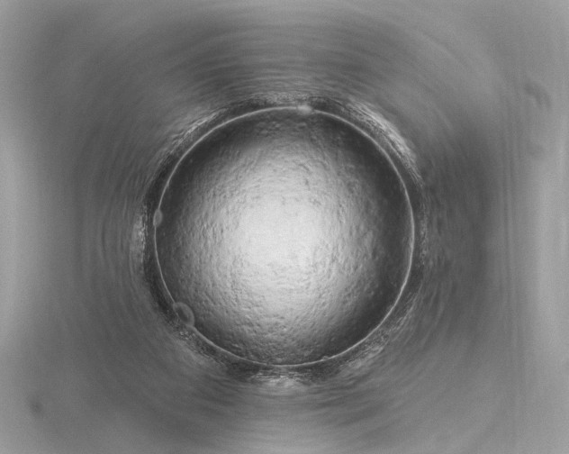 X0000116280113200912141357