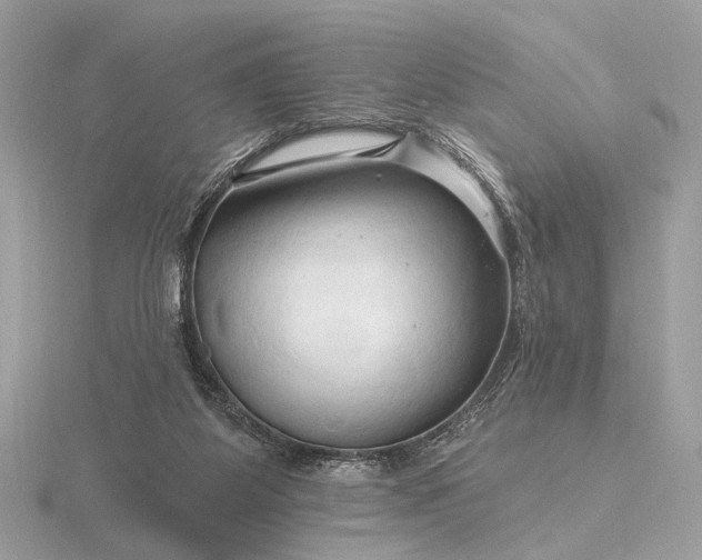 X0000116280115200912141357