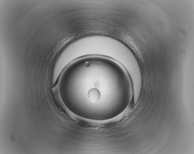 X0000116280116200912141357