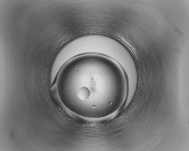 X0000116280117200912141356