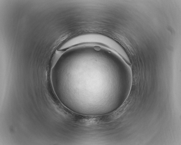 X0000116280120200912141356