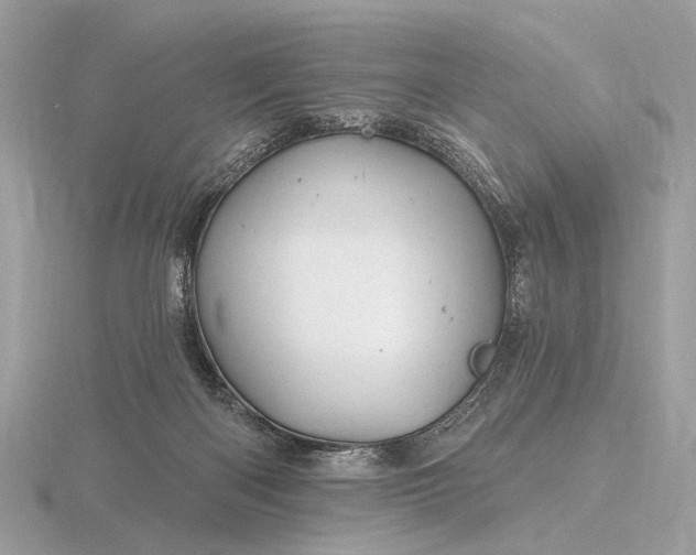 X0000116280122200912141356