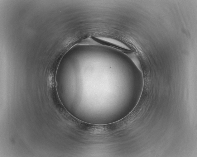 X0000116280123200912141356