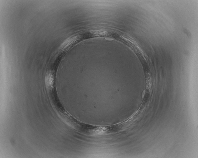 X0000116280124200912141356