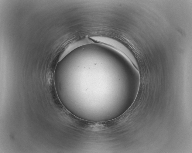 X0000116280125200912141356