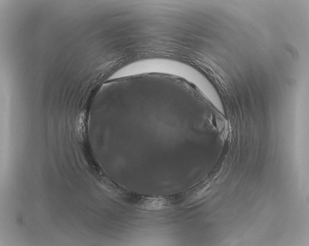 X0000116280127200912141356