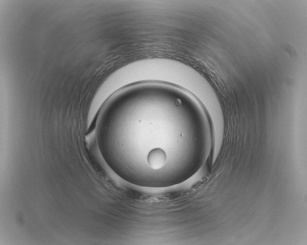 X0000116280129200912141356