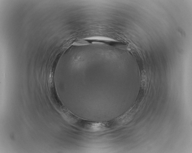 X0000116280130200912141356