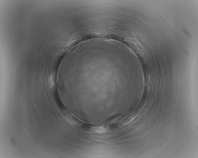 X0000116280131200912141356