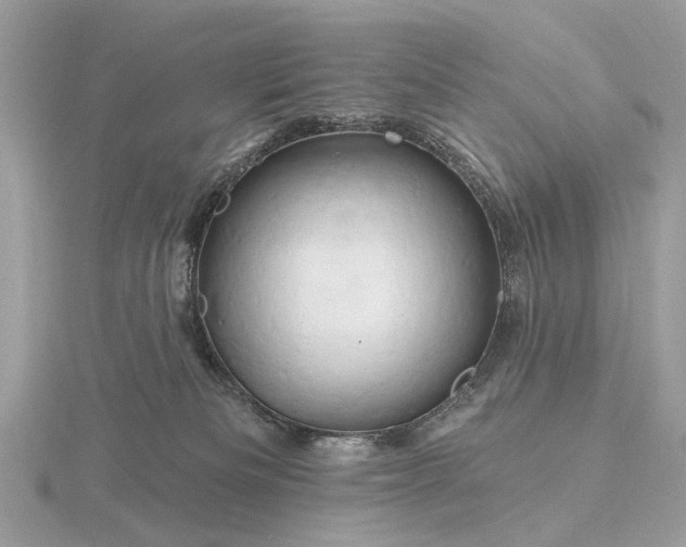 X0000116280133200912141356