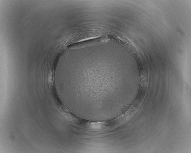 X0000116280134200912141356