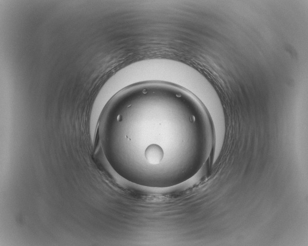 X0000116280135200912141356