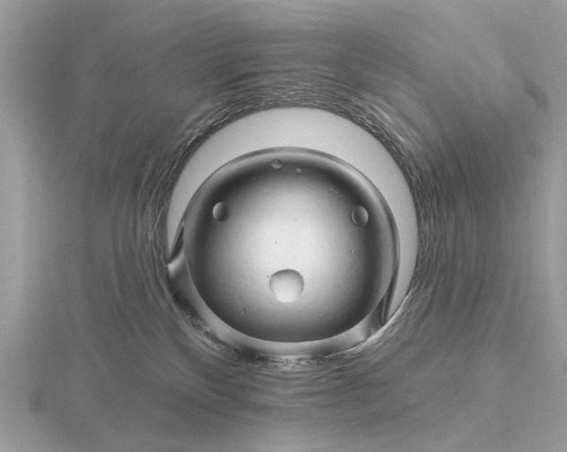 X0000116280136200912141356