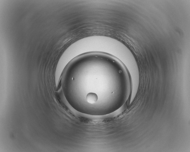 X0000116280137200912141356