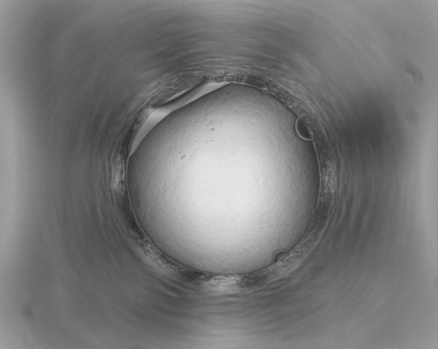 X0000116280138200912141356