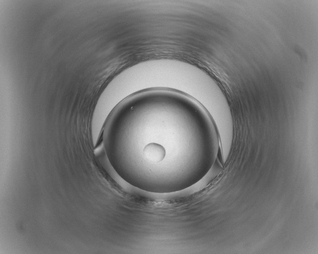 X0000116280141200912141356