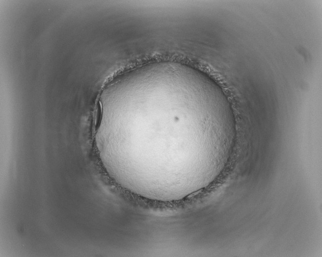 X0000116280144200912141356