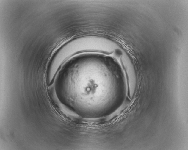 X0000116280146200912141356