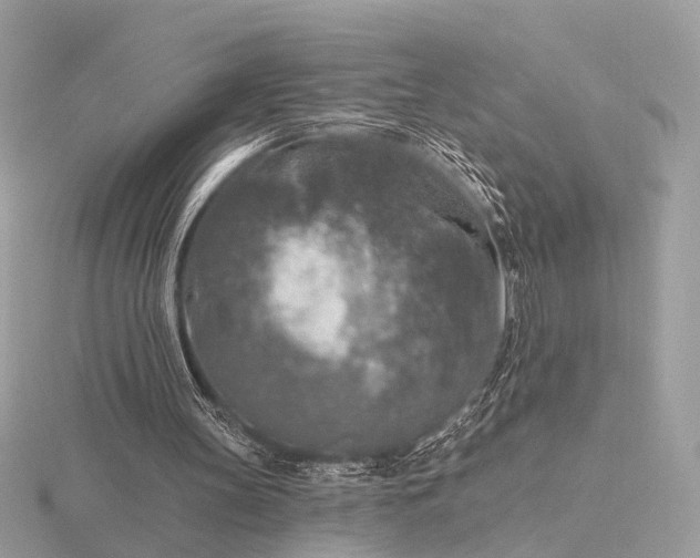 X0000116280147200912141356