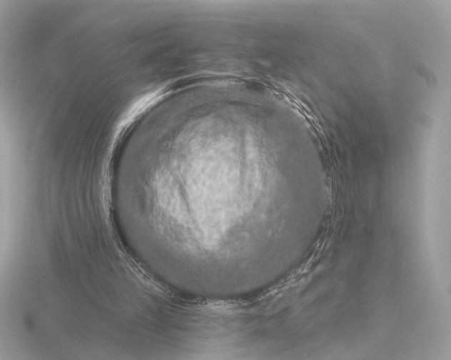 X0000116280149200912141356