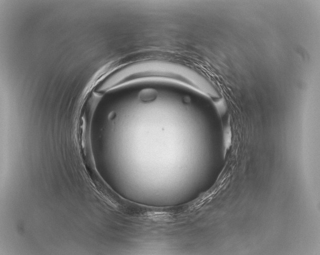 X0000116280150200912141356