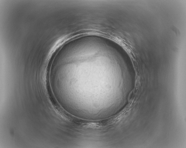 X0000116280151200912141356