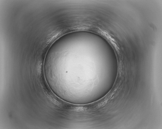 X0000116280153200912141356