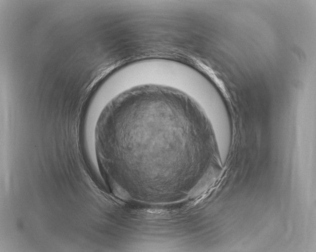 X0000116280154200912141356