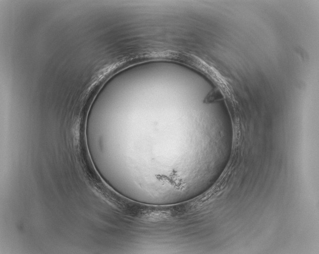 X0000116280155200912141356