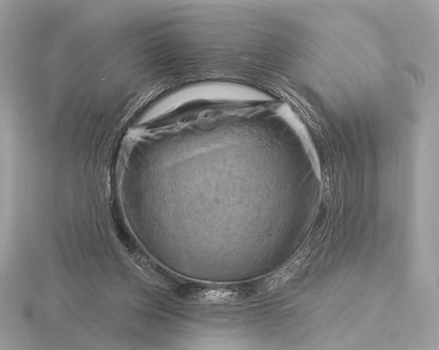 X0000116280158200912141356