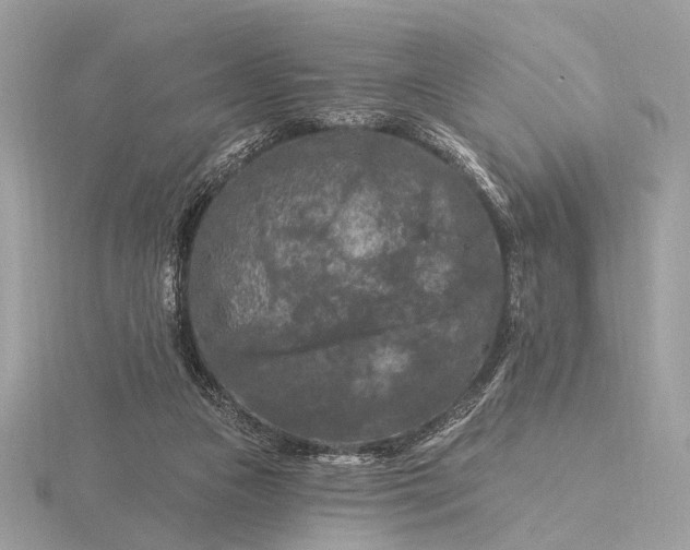 X0000116280161200912141356