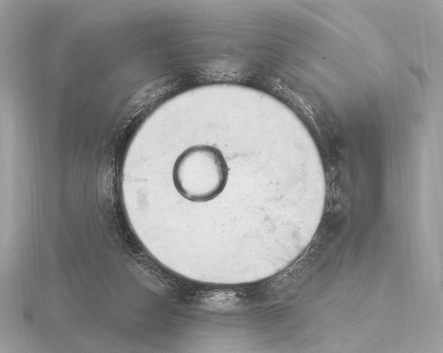 X0000116280162200912141356