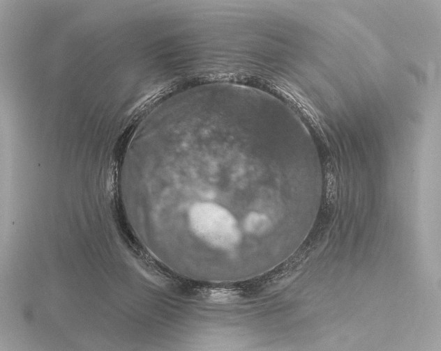 X0000116280165200912141356