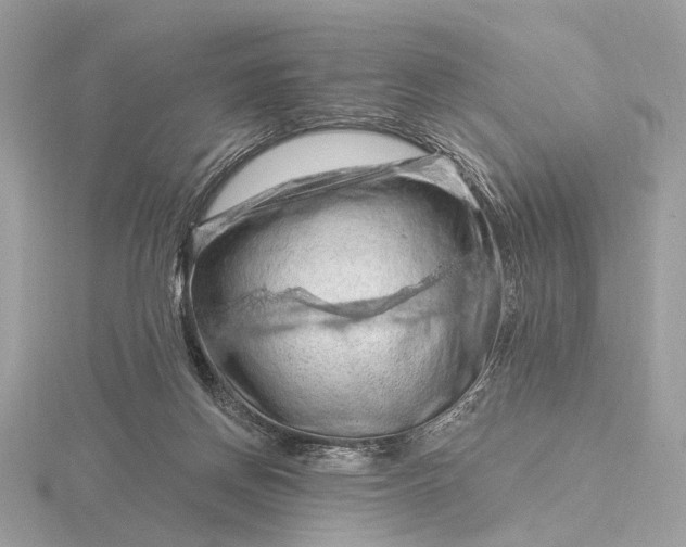 X0000116280166200912141356