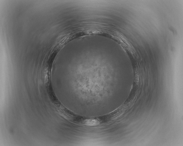 X0000116280169200912141356