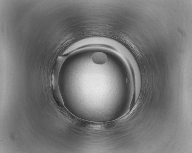 X0000116280170200912141356