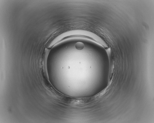 X0000116280174200912141356