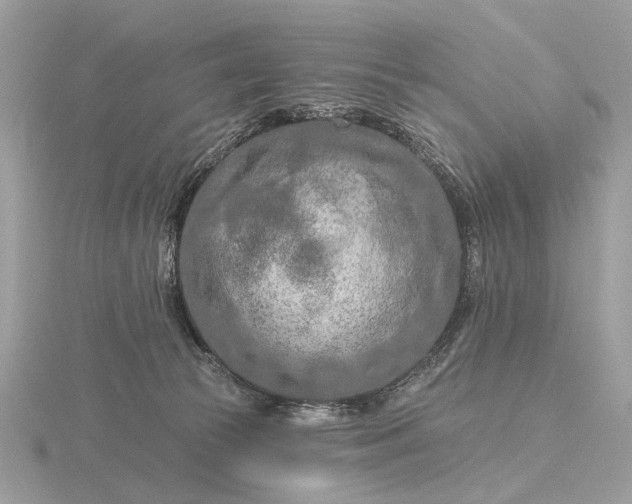 X0000116280177200912141356