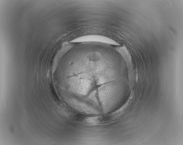 X0000116280178200912141356