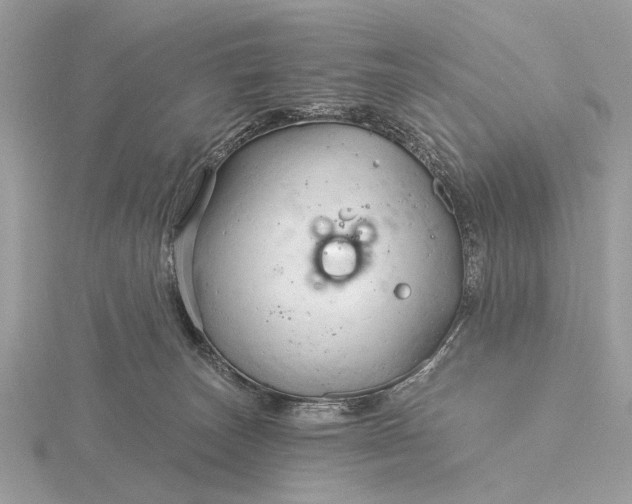 X0000116280179200912141356