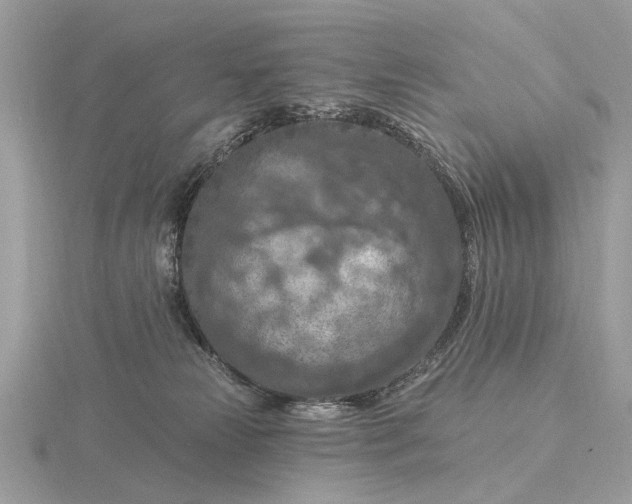 X0000116280181200912141356