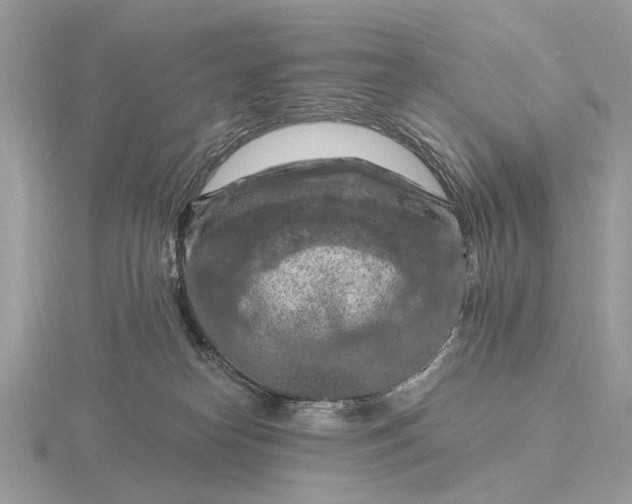 X0000116280182200912141356